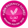 argument pszenica rekord polski