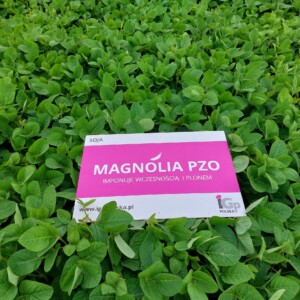magnolia pzo produkt v1