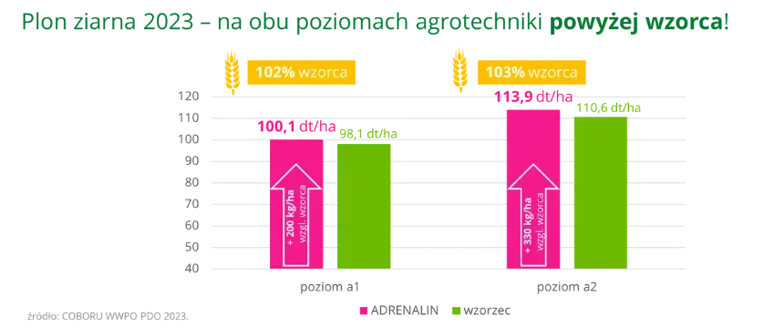 ADRENALIN Plon ziarna 2023 na obu poziomach agrotechniki powyzej wzorca