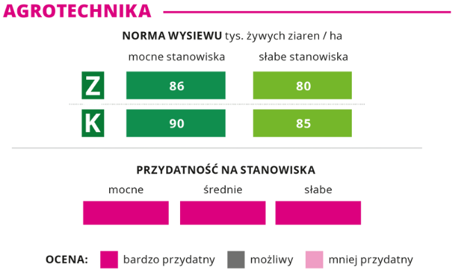 agrotechnika kukurydza Codizouk norma wysiewu