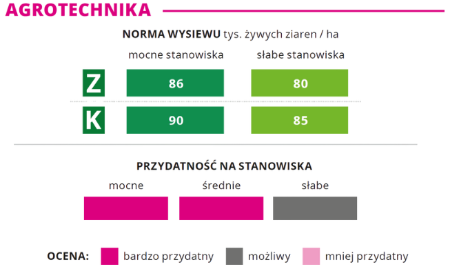 agrotechnika kukurydza Hardware norma wysiewu