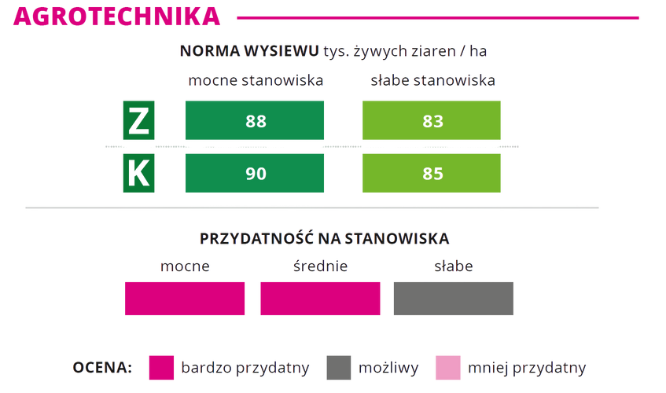 agrotechnika kukurydza Inception norma wysiewu