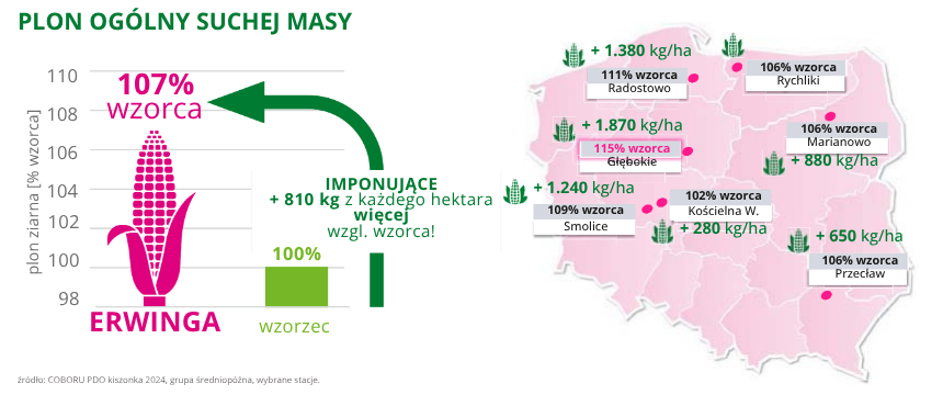 kukurydza Hardware plon ogólny suchej masy (2)