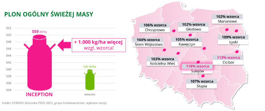 kukurydza INCEPTION Plon ogolny swiezej masy COBORU kiszonka PDO 2023