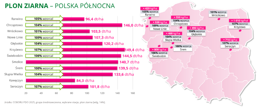 kukurydza Inception Plon ziarna 2025 Polska północna COBORU PDO 2025