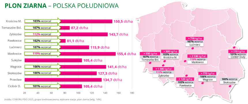 kukurydza Inception Plon ziarna 2025 Polska południowa COBORU PDO 2025