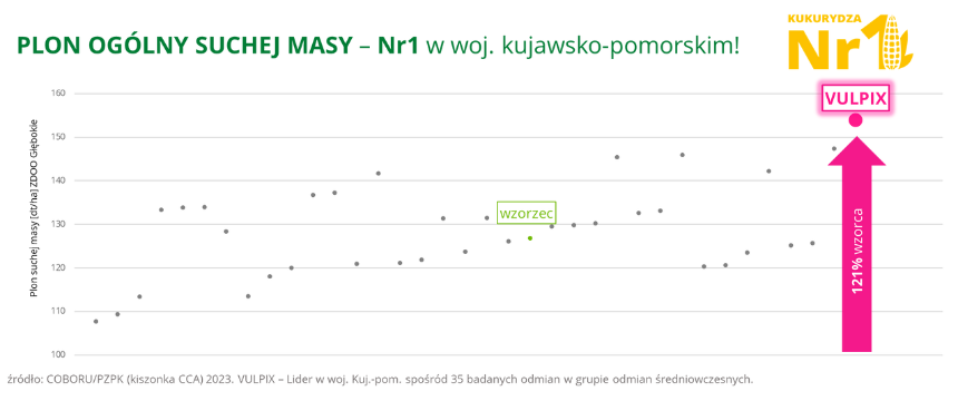 kukurydza VULPIX Plon ogolny suchej masy Nr1 w woj. kujawsko pomorskim COBORU PZPK kiszonka CCA 2023