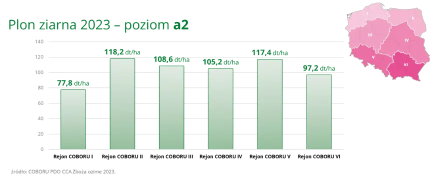 ABSINT Plon ziarna 2023 poziom a2