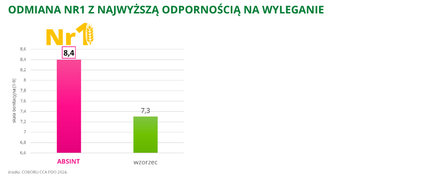 pszenica ozima Absint Nr1 najwyższa odporność na wyleganie COBORU CCA PDO 2024