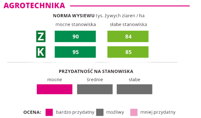 Agrotechnika kukurydza ERWINGA norma wysiewu