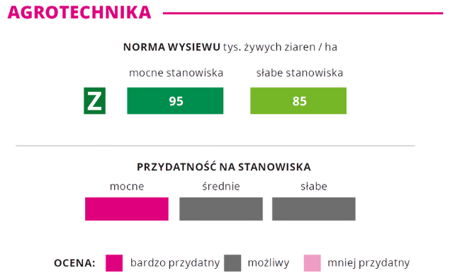 Agrotechnika kukurydza IDENTITY norma wysiewu