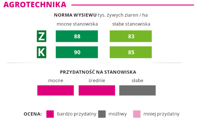 Agrotechnika kukurydza JUSTY norma wysiewu