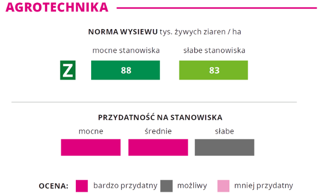 Agrotechnika kukurydza KOKUNA norma wysiewu