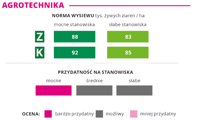 Agrotechnika kukurydza QUENTIN norma wysiewu