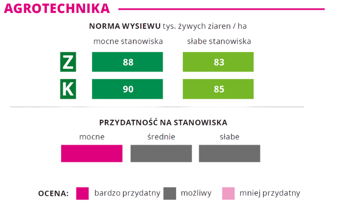 Agrotechnika kukurydza SUNBIRD norma wysiewu