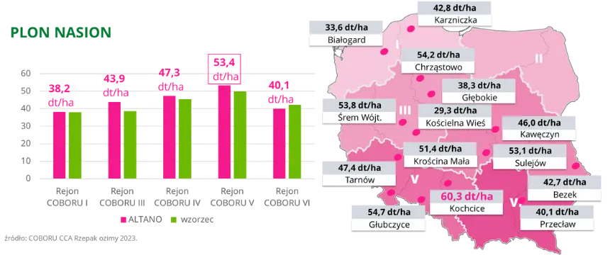 Rzepak ozimy ALTANO Plon nasion COBOCU CCA 2023