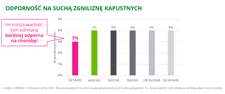 Rzepak ozimy ALTANO odpornosc na sucha zgnilizne kapustnych