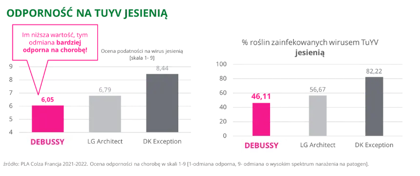 Rzepak ozimy DEBUSSY Odpornosc na TuYV jesienia