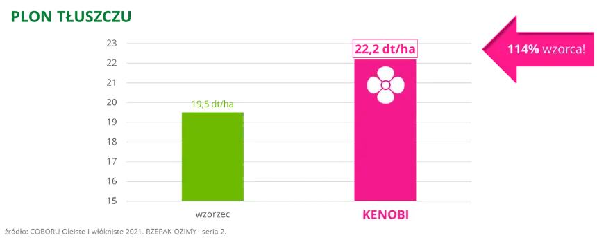 Rzepak ozimy KENOBI Plon tluszczu COBORU 2021