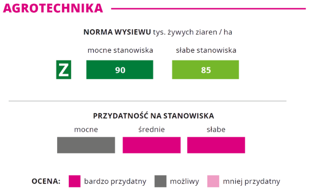agrotechnika kukurydza Codeos norma wysiewu