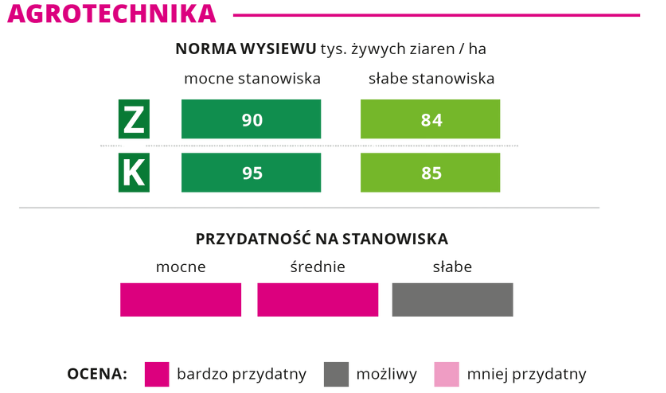 agrotechnika kukurydza Erwinga norma wysiewu