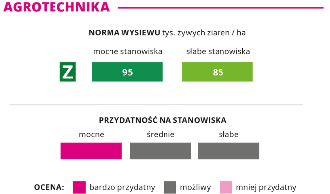 agrotechnika kukurydza Identity norma wysiewu