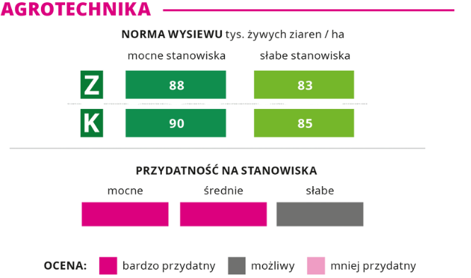 agrotechnika kukurydza Justy norma wysiewu