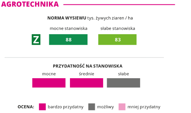 agrotechnika kukurydza Kokuna norma wysiewu