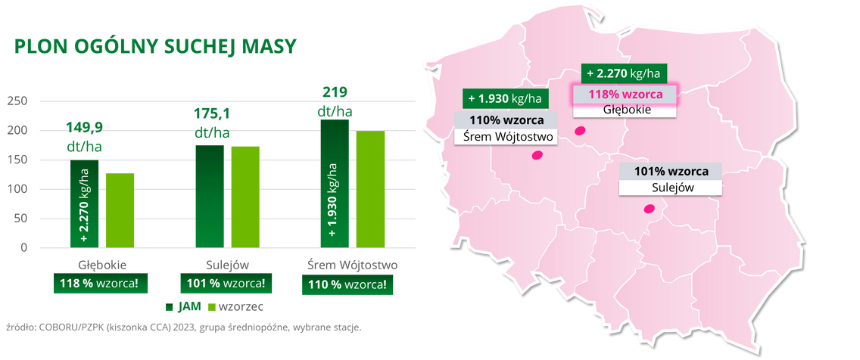 kukurydza JAM Plon ogolny suchej masy COBORU PZPK kiszonka CCA 2023