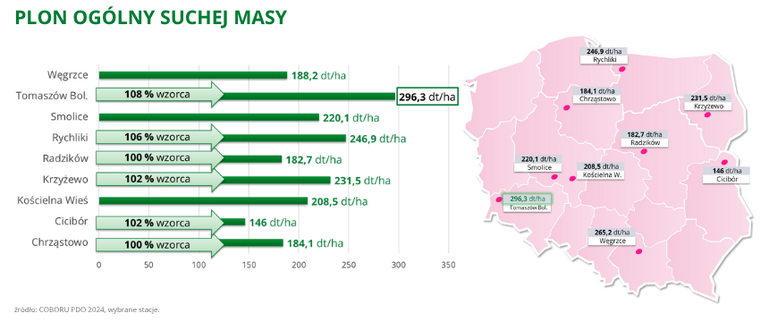 kukurydza Justy plon ogólny suchej masy