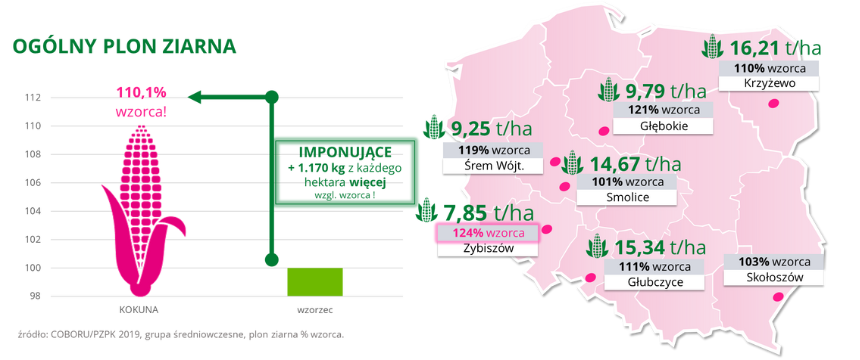 kukurydza KOKUNA Ogolny plon ziarna COBORU PZPK 2019