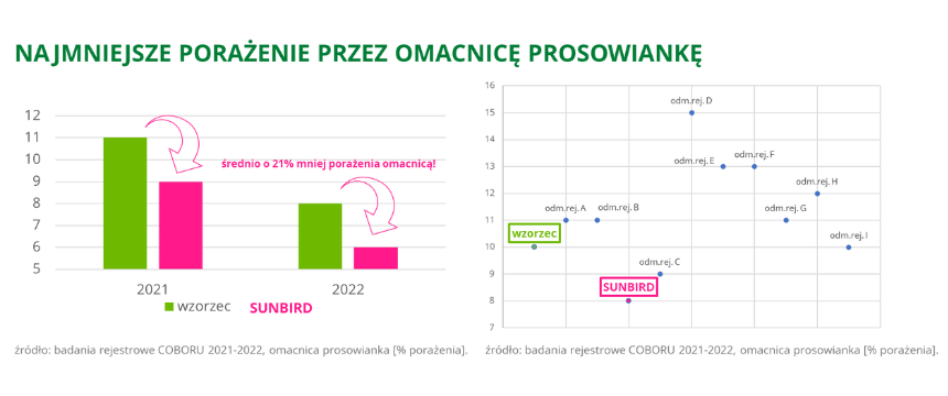 kukurydza SUNBIRD Najmniejsze porazenie przez omacnice prosowianke badania rejestrowe COBORU 2021 2022