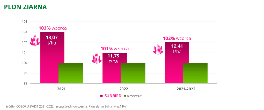 kukurydza SUNBIRD Plon ziarna COBORU SWDR 2021 2022