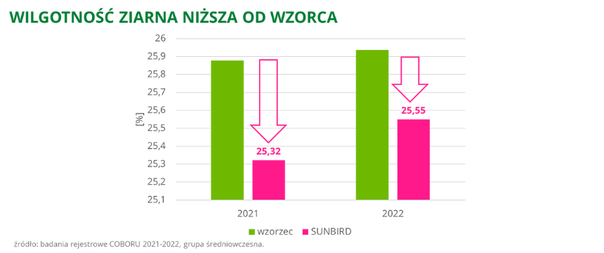 kukurydza SUNBIRD Wilgotnosc ziarna nizsza od wzorca badania rejestrowe COBORU 2021 2022