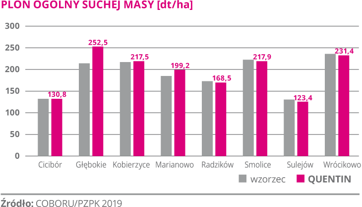 kukurydza igp quentin plonowanie 1