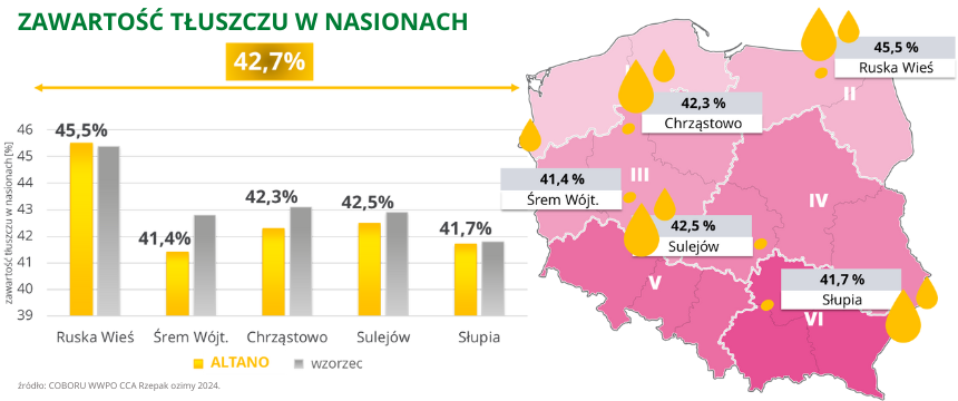 rzepak ozimy altano zawartość tłuszczu w nasionach 42,7% coboru cca 2024
