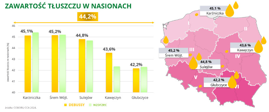 rzepak ozimy debussy zawartość tłuszczu w nasionach 44,2% COBORU CCA 2024