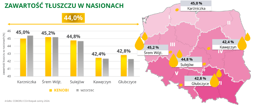 rzepak ozimy kenobi zawartość tłuszczu w nasionach 44% coboru cca 2024