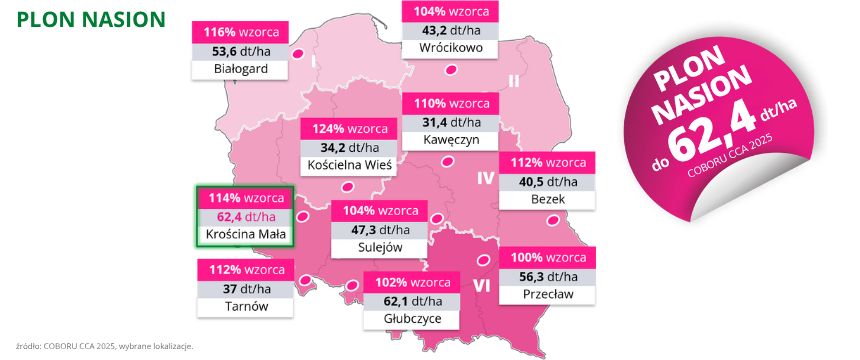 rzepak ozimy magelan plon nasion do 62,4 dt ha COBORU CCA 2025