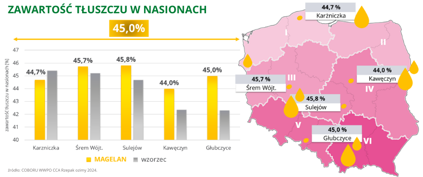 rzepak ozimy magelan zawartość tłuszczu w nasionach 45% coboru cca 2024