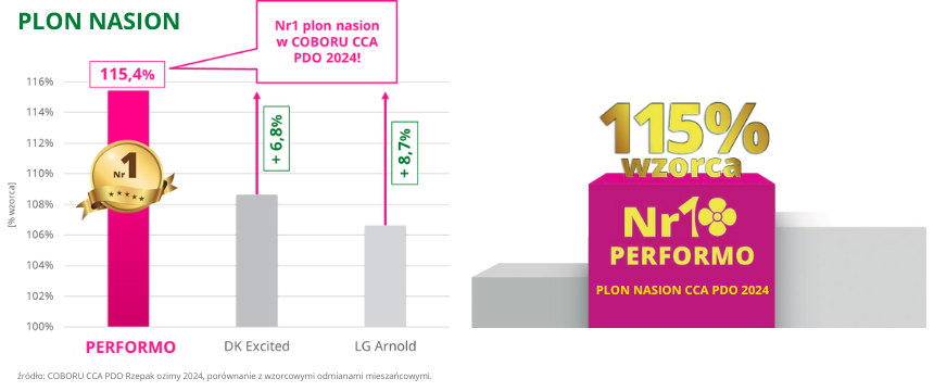 rzepak ozimy performo Nr1 plon nasion 115,4% wzorca coboru cca 2024