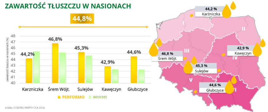 rzepak ozimy performo zawartość tłuszczu w nasionach 44,8% COBORU WWPO CCA 2024