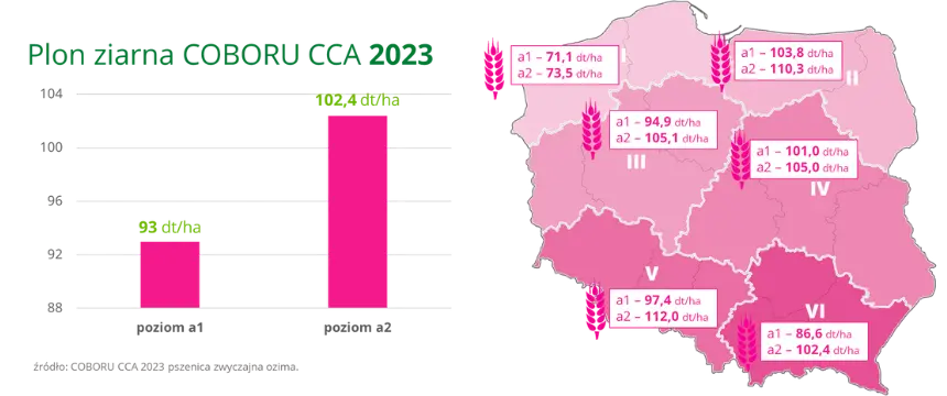 ABSOLUT Plon ziarna COBORU CCA 2023