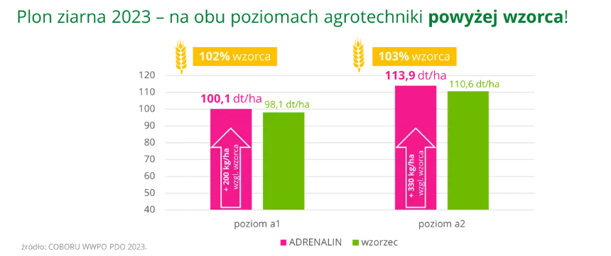 ADRENALIN Plon ziarna 2023 na obu poziomach agrotechniki powyzej wzorca