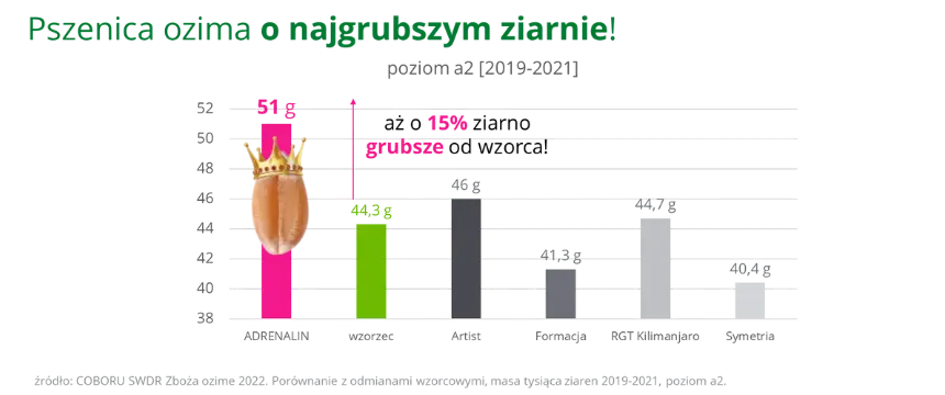 ADRENALIN Pszenica ozima o najgrubszym ziarnie