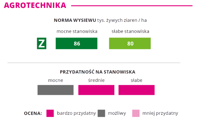 Agrotechnika kukurydza CODIGIP norma wysiewu