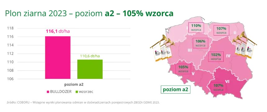 BULLDOZER Plon ziarna 2023 poziom a2 105 wzorca