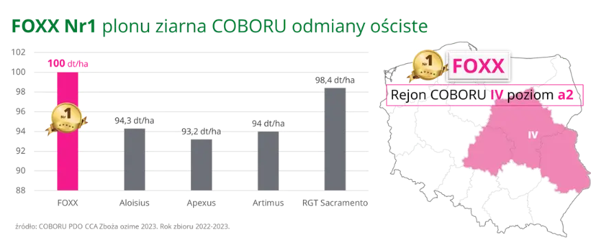 FOXX Nr 1 plonu ziarna COBORU odmiany osciste