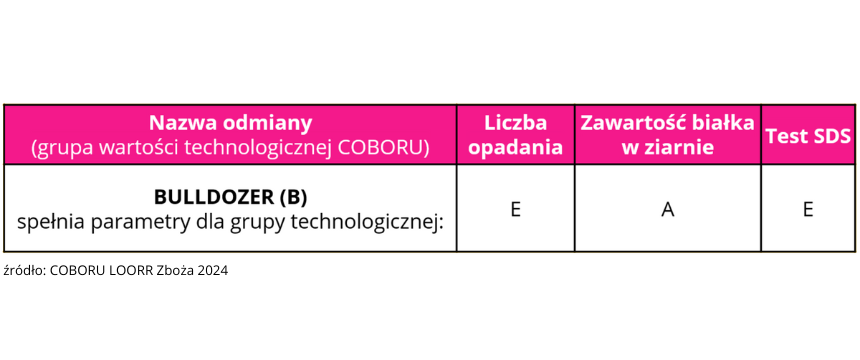 Grupy wartosci technologicznej COBORU BULLDOZER