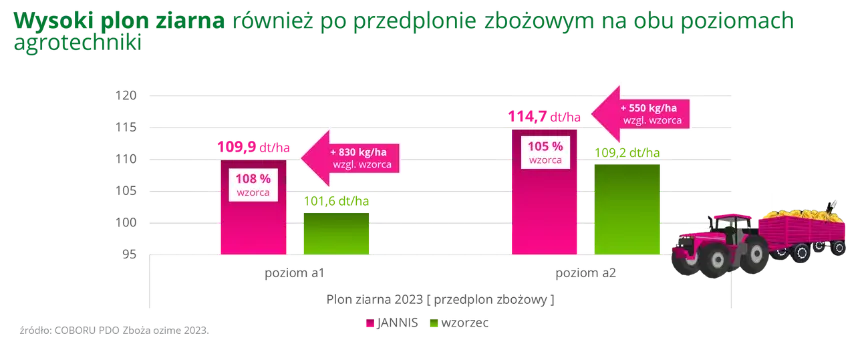 JANNIS Wysoki plon ziarna rowniez po przedplonie zbozowym na obu poziomach agrotechniki